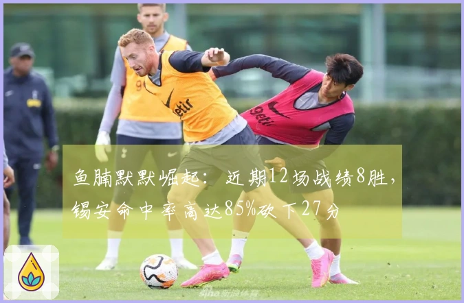 鱼腩默默崛起：近期12场战绩8胜，锡安命中率高达85%砍下27分